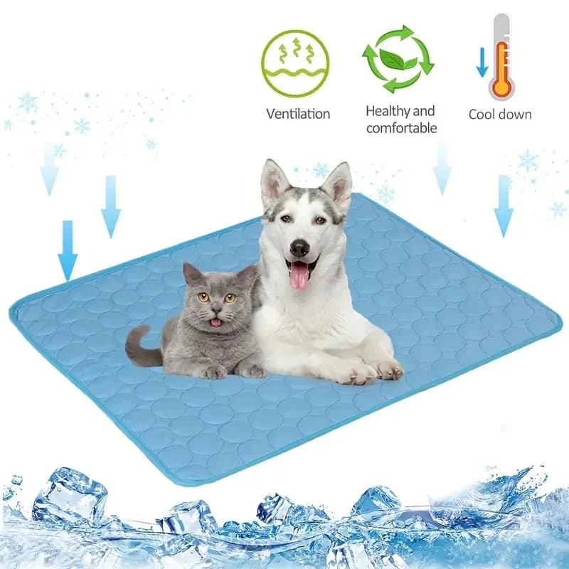 Keeping Your Dog Cool in Summer: Why a Cooling Mat Makes a Difference